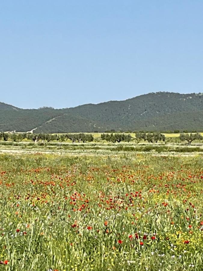 La Antigua Casa Del Astronomo Casa Rural Ricote 外观 照片